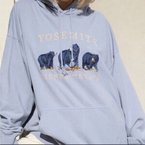 Brandy Melville Blue Graphic Hoodie